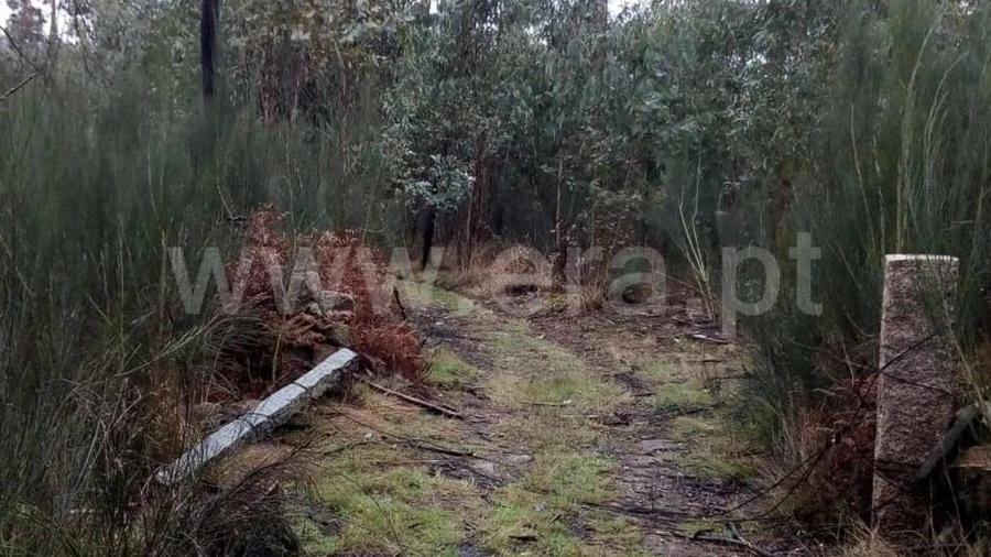 Terreno para Venda em Travanca
