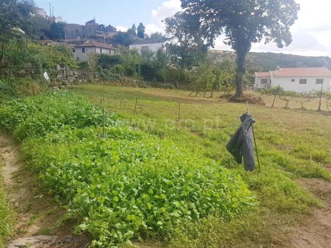 Quinta T0 para Venda em Soalhães Foto 10