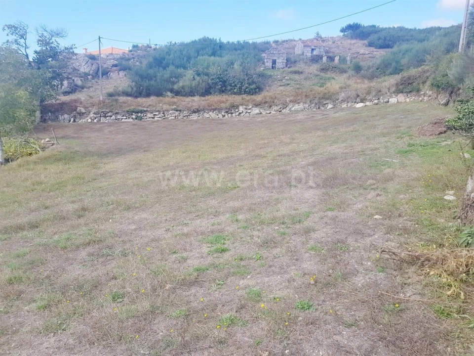 Quinta T0 para Venda em Soalhães Foto 16