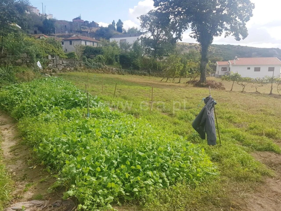Quinta T0 para Venda em Soalhães Foto 10
