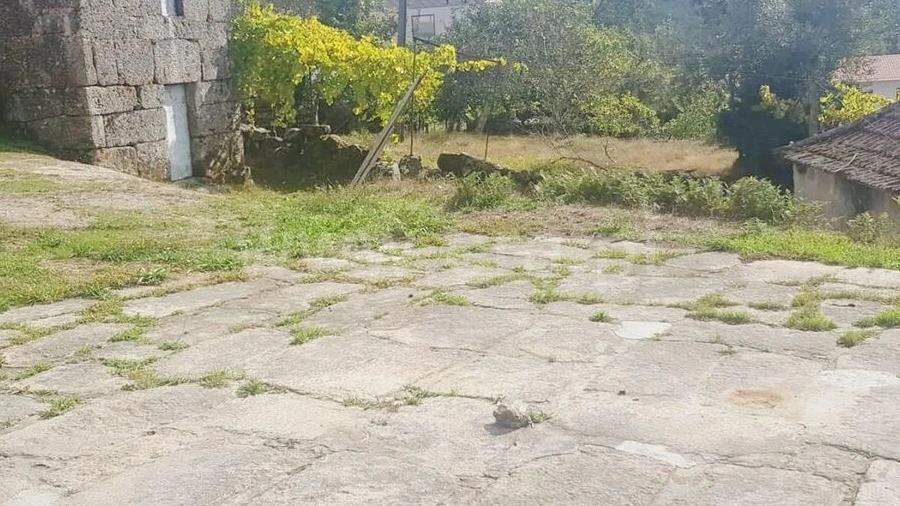 Quinta T0 para Venda em Soalhães