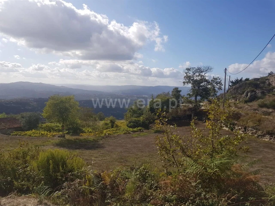 Quinta T0 para Venda em Soalhães Foto 3