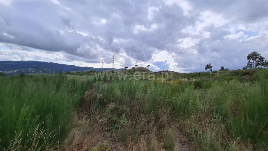 Terreno para Venda em Soalhães Foto 4