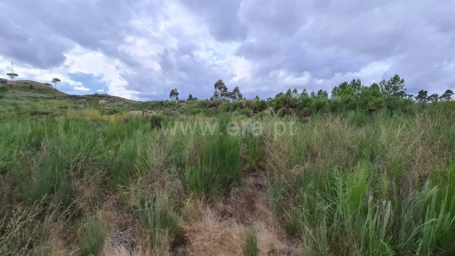 Terreno para Venda em Soalhães Foto 8