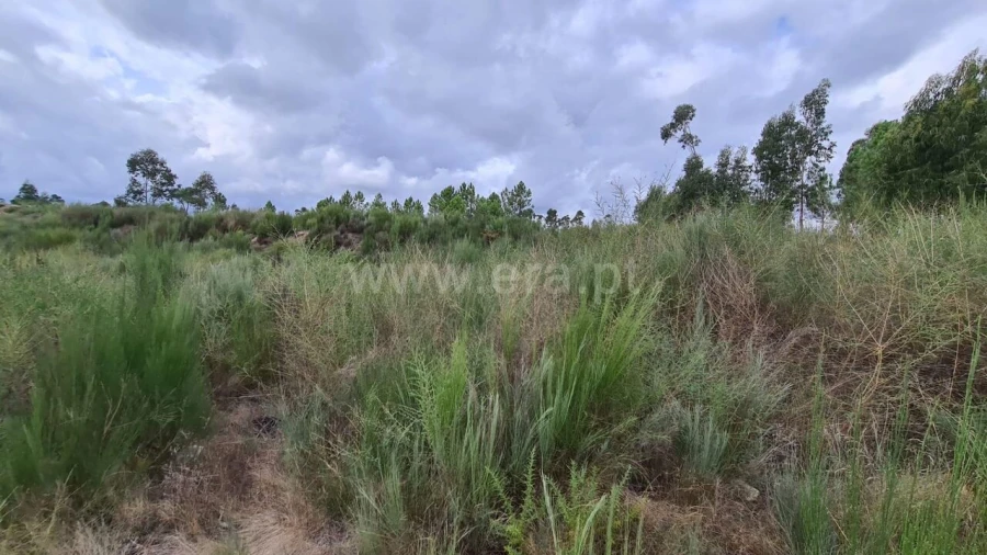 Terreno para Venda em Soalhães Foto 3