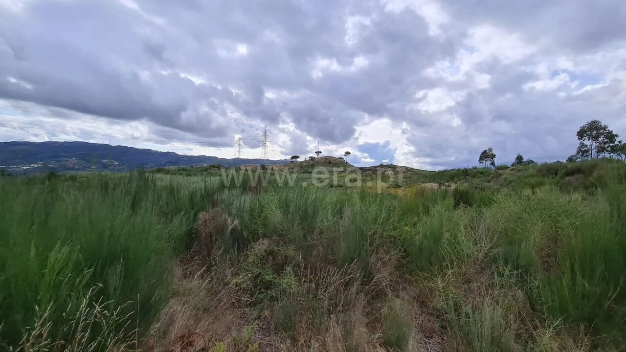 Terreno para Venda em Soalhães Foto 4