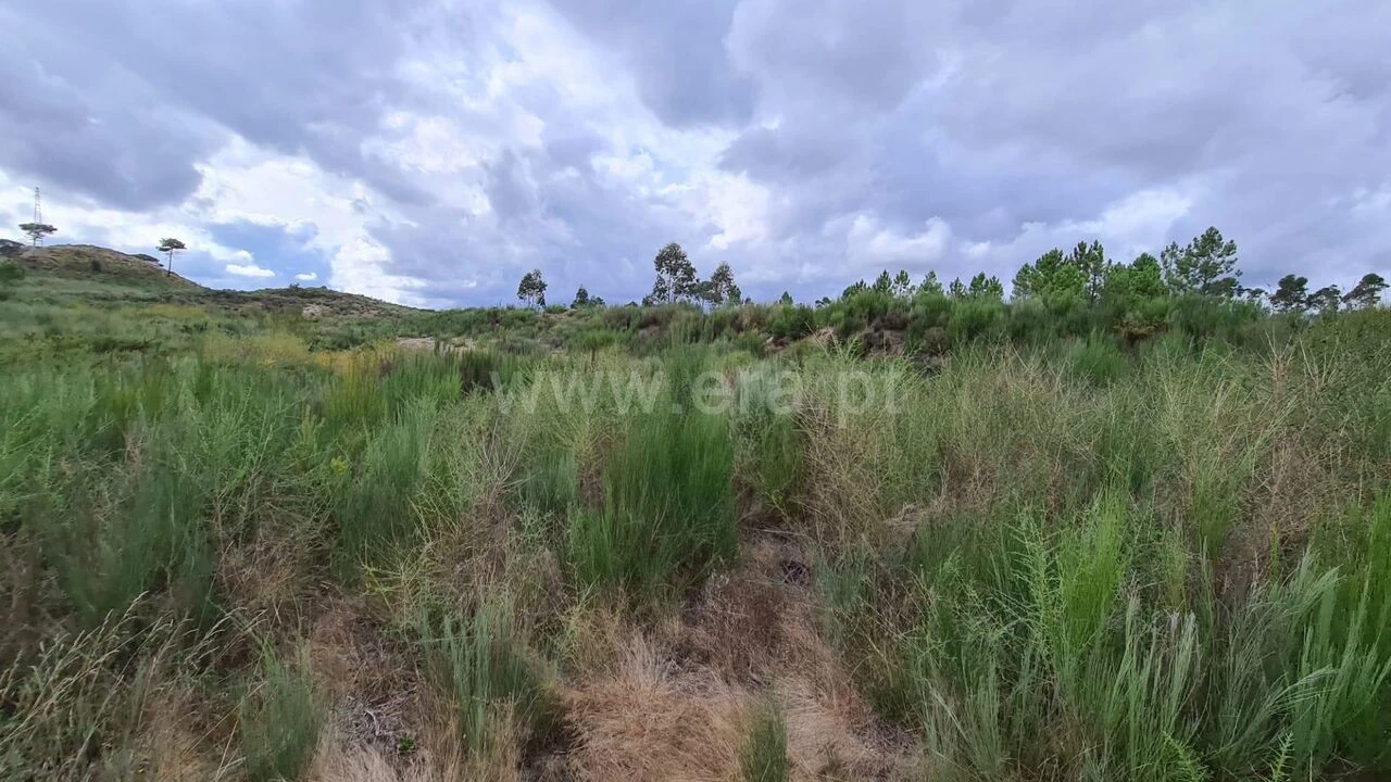 Terreno para Venda em Soalhães Foto 8