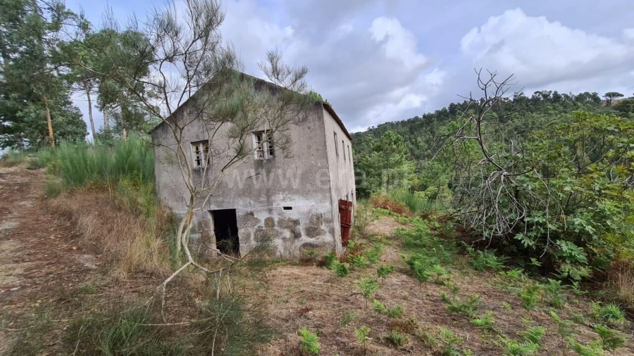 Moradia T0 para Venda em Soalhães Foto 5