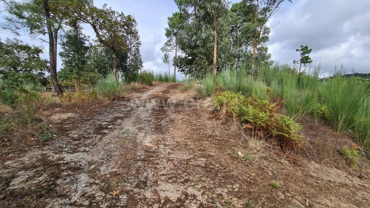 Moradia T0 para Venda em Soalhães Foto 7