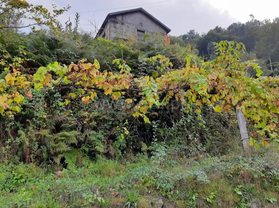 Quinta T2 para Venda em Tendais Foto 16