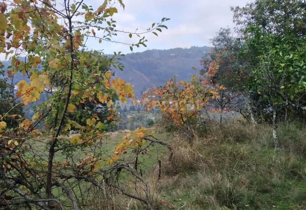 Quinta T2 para Venda em Tendais Foto 10