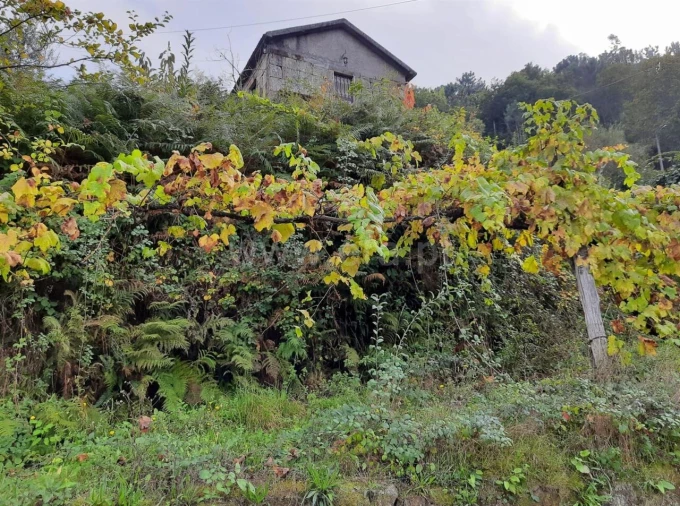 Quinta T2 para Venda em Tendais Foto 16