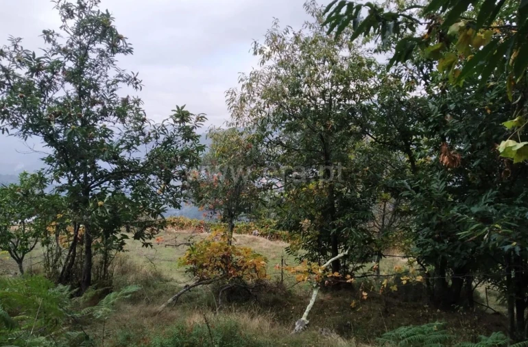 Quinta T2 para Venda em Tendais Foto 11