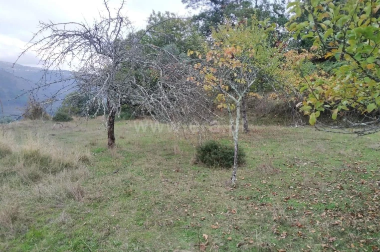 Quinta T2 para Venda em Tendais Foto 18