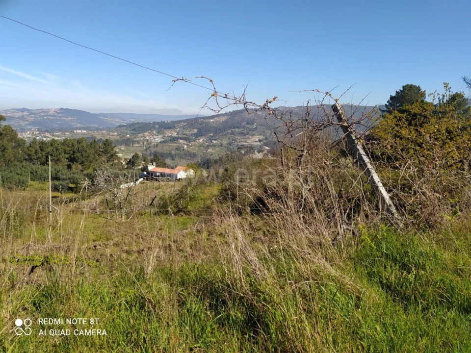 Terreno para Venda em Soalhães Foto 7