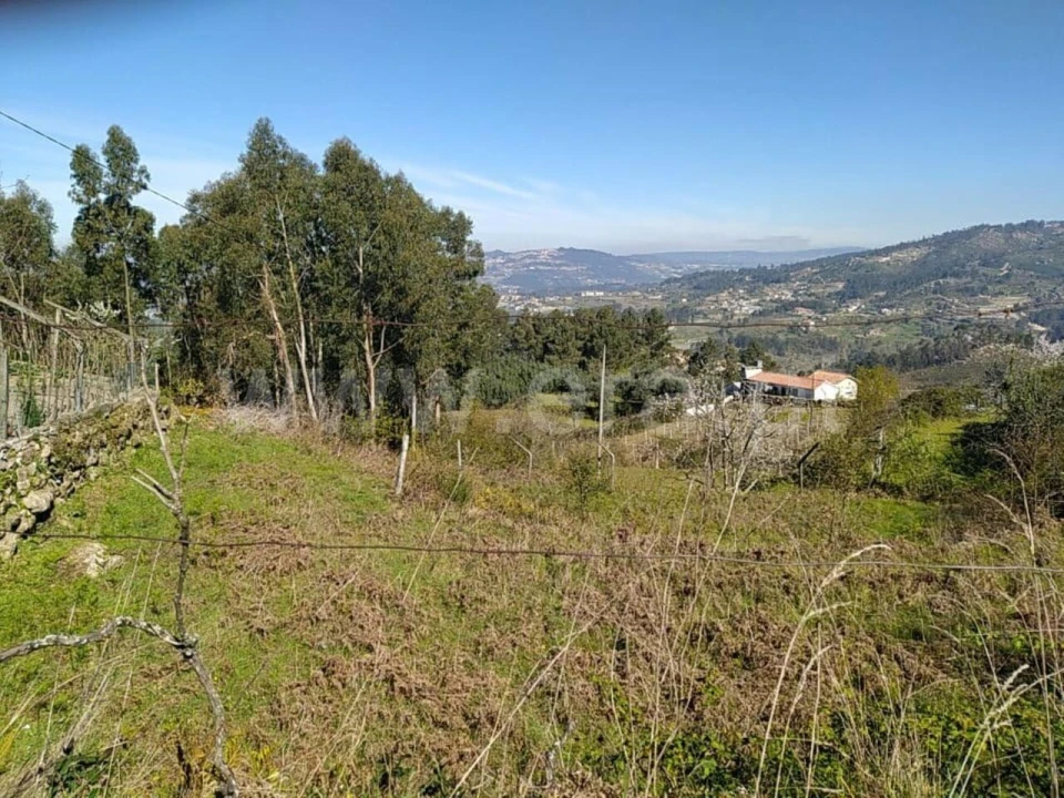 Terreno para Venda em Soalhães Foto 8