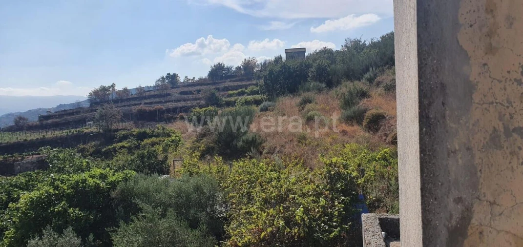 Quinta T0 para Venda em Gestaço Foto 5