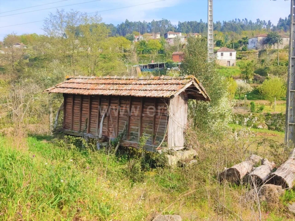 Quinta T0 para Venda em Cinfães Foto 2