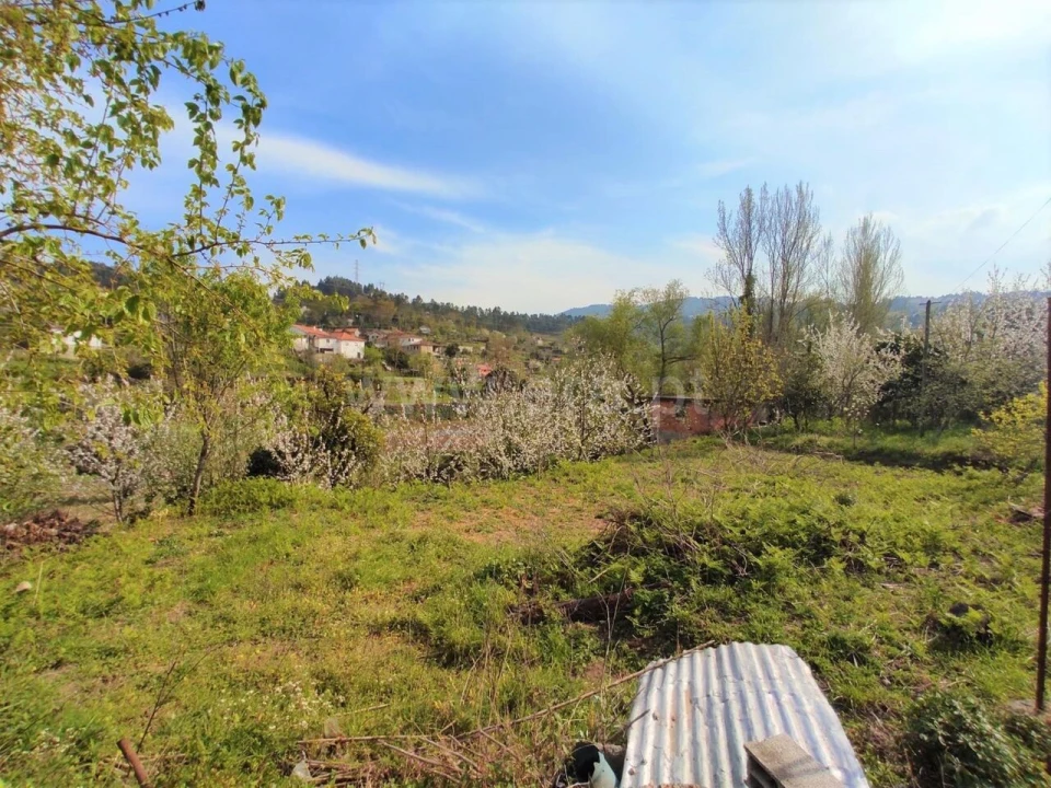 Quinta T0 para Venda em Cinfães Foto 1