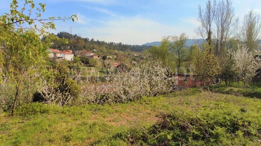 Quinta T0 para Venda em Cinfães