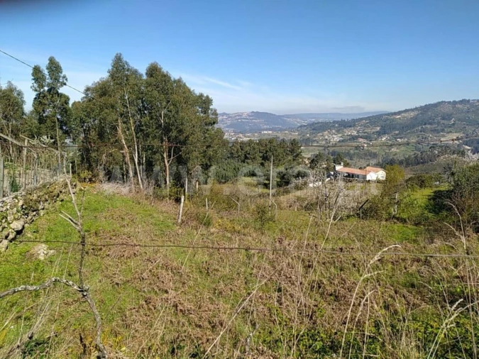 Terreno para Venda em Soalhães Foto 8