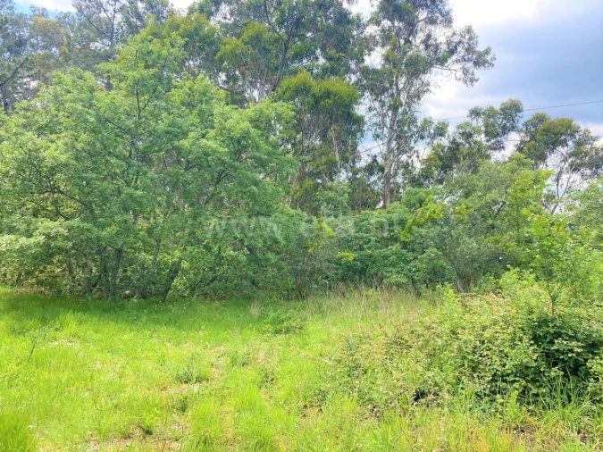 Terreno para Venda em Soalhães