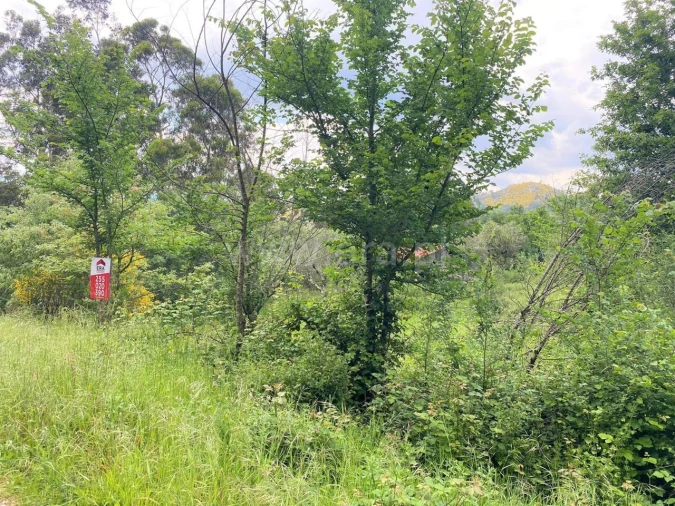 Terreno para Venda em Soalhães Foto 6