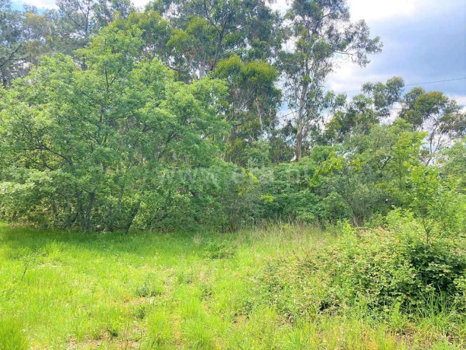 Terreno para Venda em Soalhães Foto 1