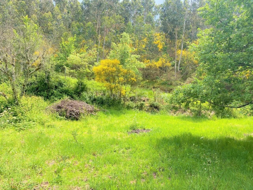 Terreno para Venda em Soalhães Foto 2