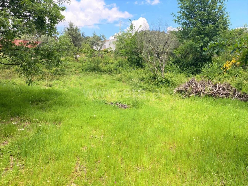 Terreno para Venda em Soalhães Foto 5