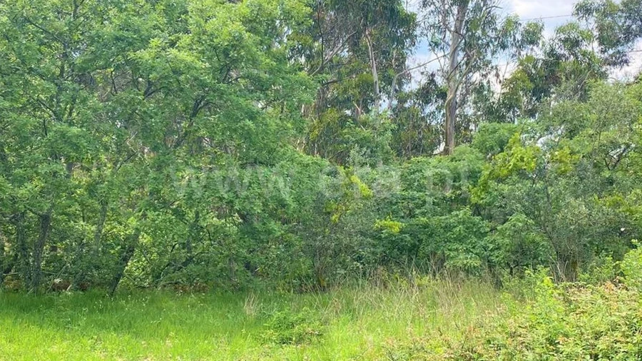 Terreno para Venda em Soalhães