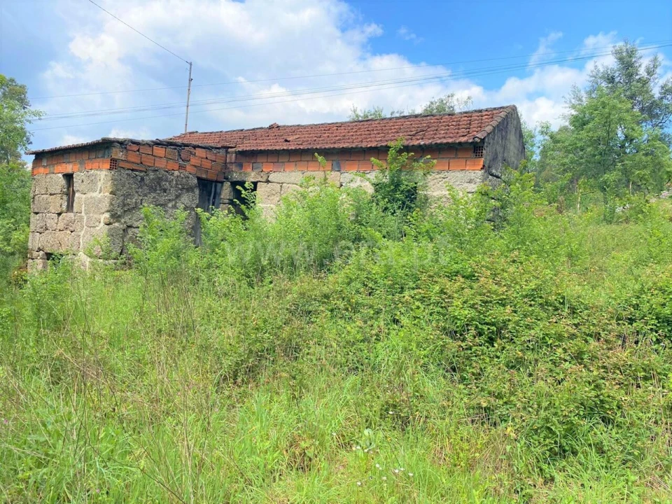Terreno para Venda em Soalhães Foto 4