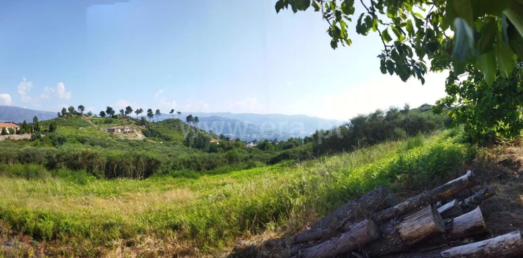 Terreno para Venda em Santa Marinha do Zezere Foto 2
