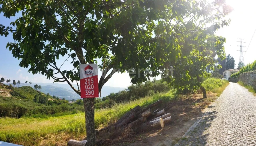 Terreno para Venda em Santa Marinha do Zezere Foto 3