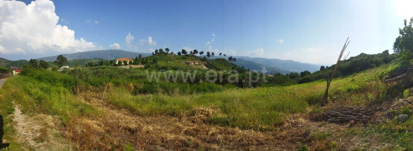 Terreno para Venda em Santa Marinha do Zezere Foto 5