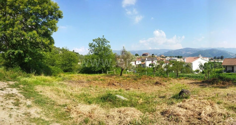 Terreno para Venda em Santa Marinha do Zezere Foto 4