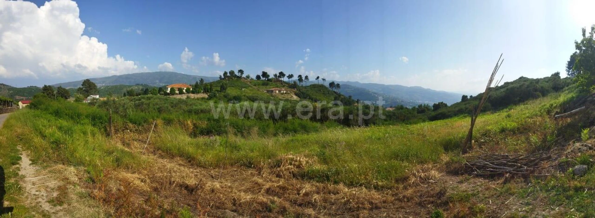 Terreno para Venda em Santa Marinha do Zezere Foto 5