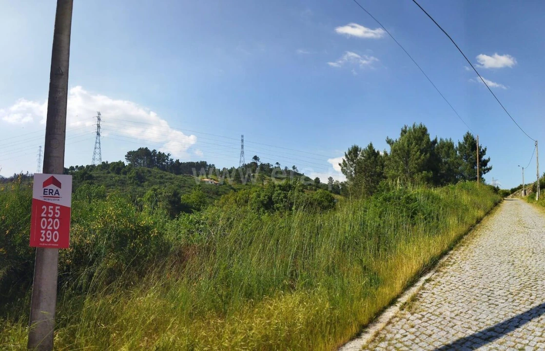 Terreno para Venda em Santa Marinha do Zezere Foto 6