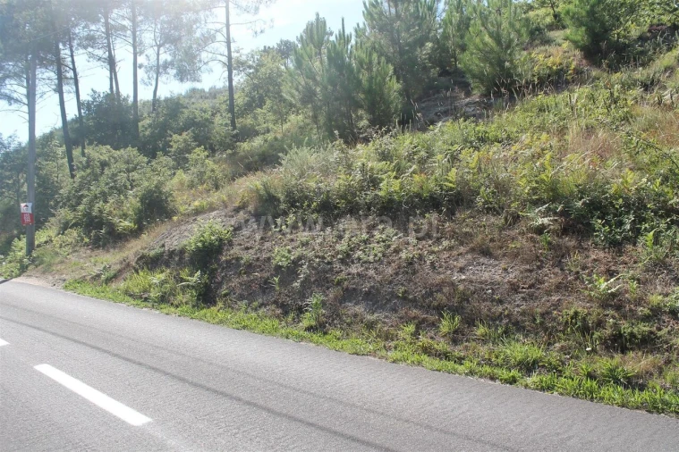 Terreno para Venda em Gove Foto 6