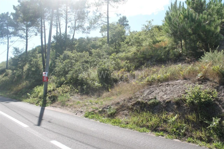 Terreno para Venda em Gove Foto 1