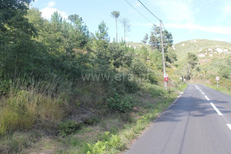 Terreno para Venda em Gove Foto 3