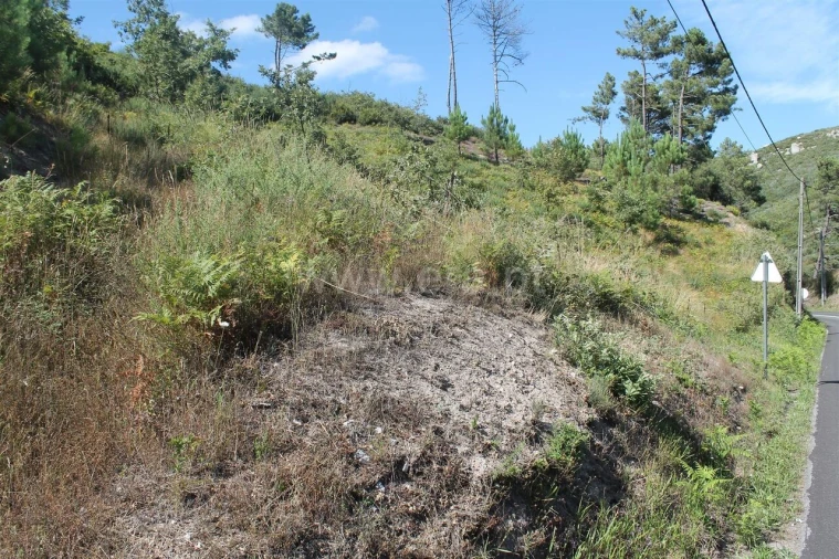 Terreno para Venda em Gove Foto 4