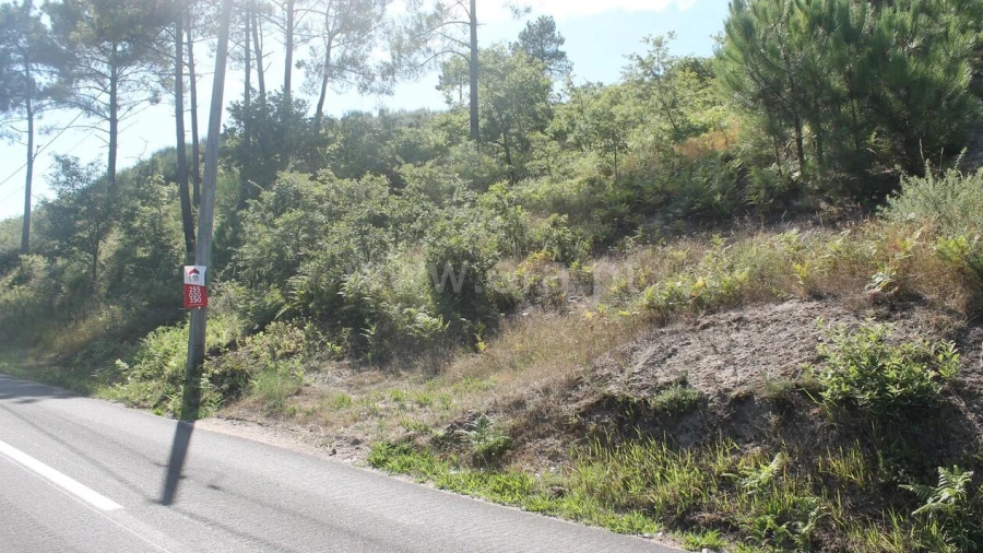 Terreno para Venda em Gove