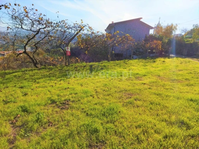 Terreno para Venda em Marco Foto 9