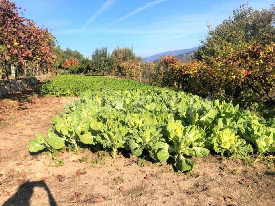 Terreno para Venda em Marco Foto 6