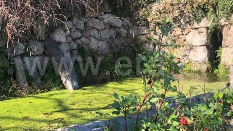 Terreno para Venda em Marco