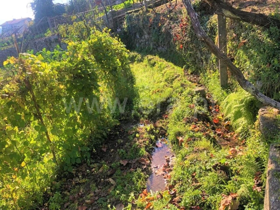 Terreno para Venda em Marco Foto 3