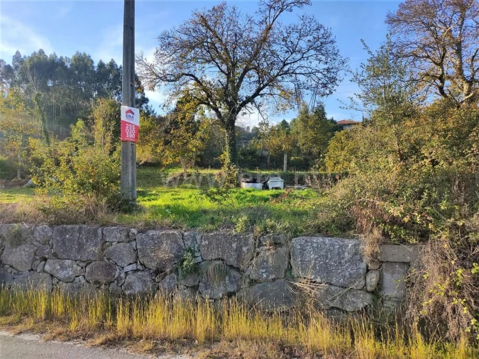 Terreno para Venda em Alpendorada, Várzea e Torrão Foto 2