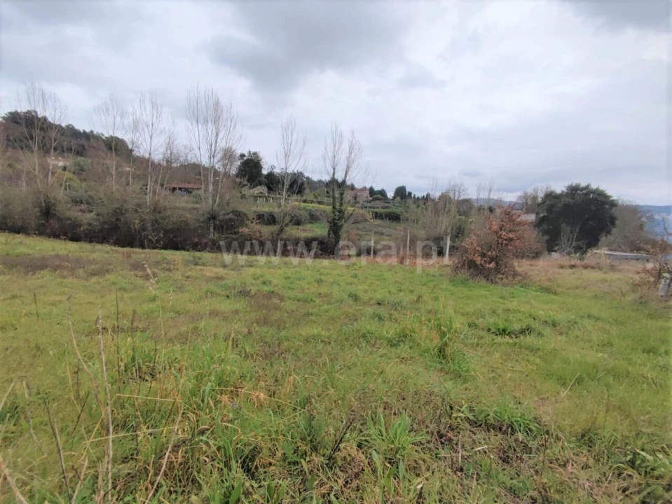 Terreno para Venda em Sande e São Lourenço Foto 4