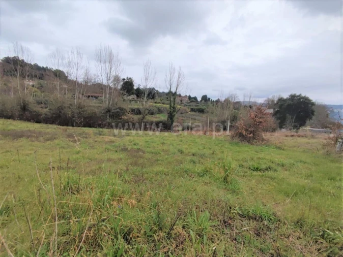 Terreno para Venda em Sande e São Lourenço Foto 4